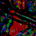 digitale_kunst19